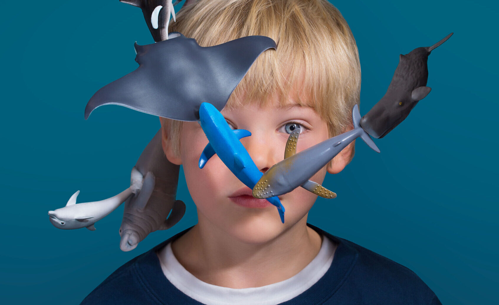 Young boy surrounded by toy sea creatures, exploring his special interest